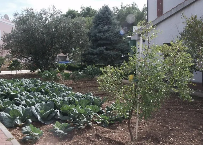 By The Sea Brodarica, - 479 * שיבניק